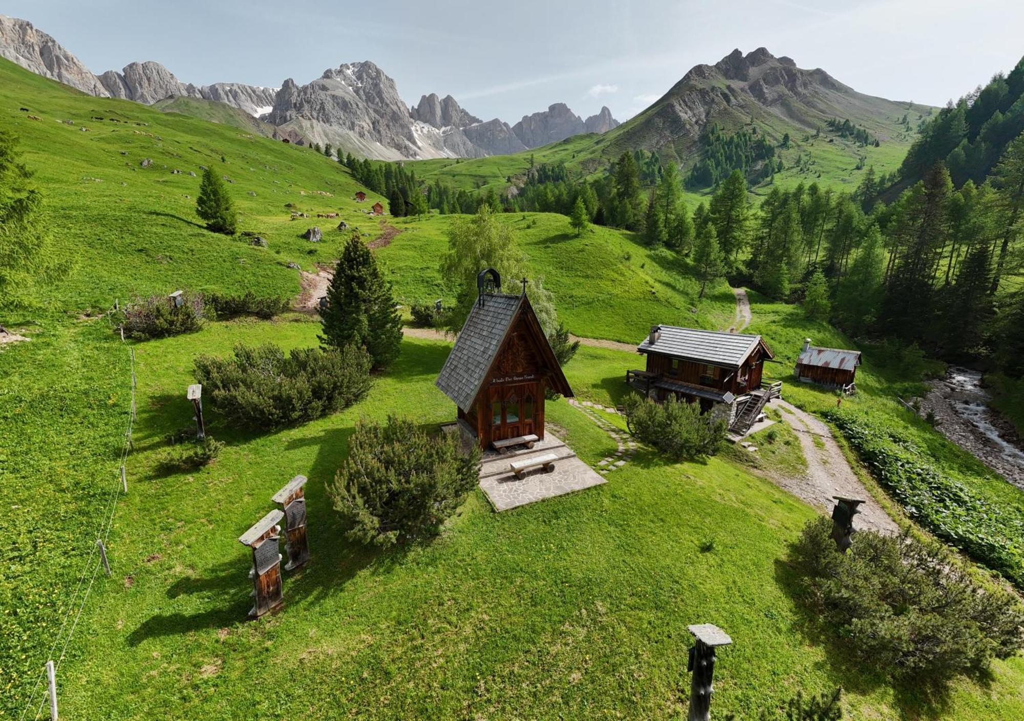 Hotel Rifugio Flora Alpina Passo San Pellegrino Exterior foto